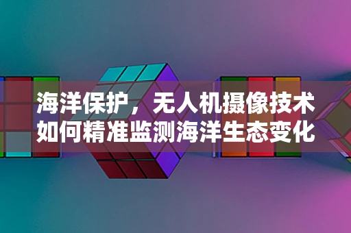 海洋保护，无人机摄像技术如何精准监测海洋生态变化？