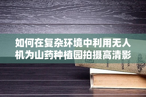 如何在复杂环境中利用无人机为山药种植园拍摄高清影像？