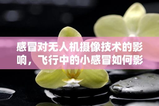 感冒对无人机摄像技术的影响，飞行中的小感冒如何影响大视野？