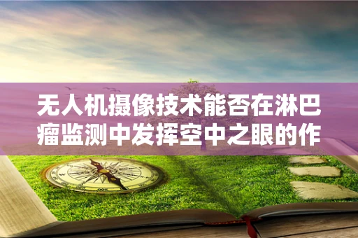 无人机摄像技术能否在淋巴瘤监测中发挥空中之眼的作用？