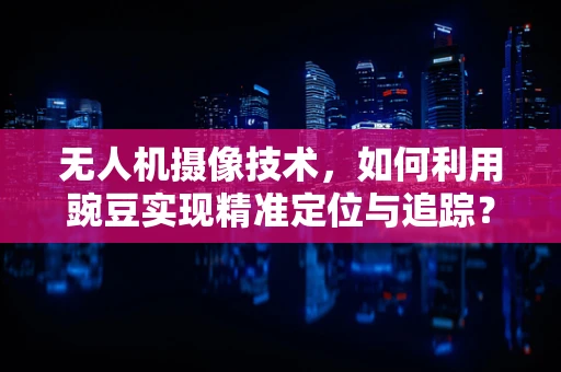 无人机摄像技术，如何利用豌豆实现精准定位与追踪？