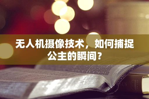 无人机摄像技术，如何捕捉公主的瞬间？