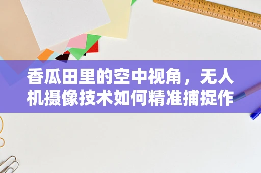 香瓜田里的空中视角，无人机摄像技术如何精准捕捉作物生长瞬间？