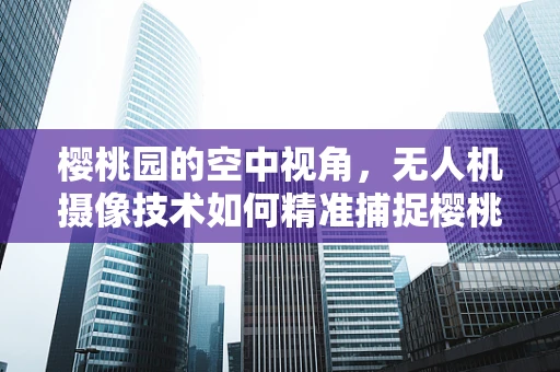 樱桃园的空中视角，无人机摄像技术如何精准捕捉樱桃成熟瞬间？