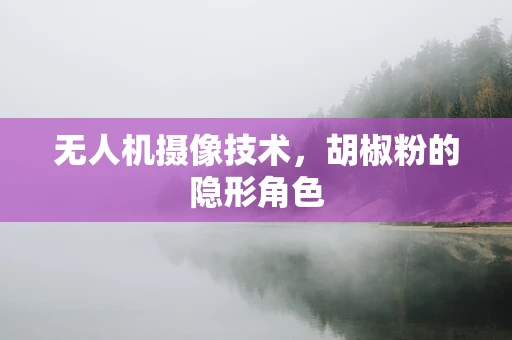 无人机摄像技术，胡椒粉的隐形角色
