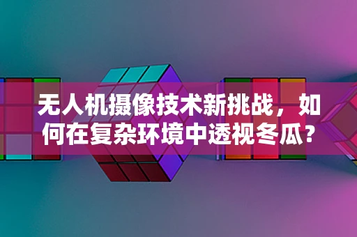 无人机摄像技术新挑战，如何在复杂环境中透视冬瓜？