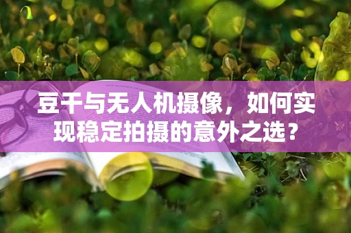 豆干与无人机摄像，如何实现稳定拍摄的意外之选？