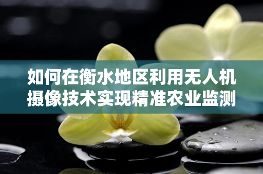 如何在衡水地区利用无人机摄像技术实现精准农业监测？