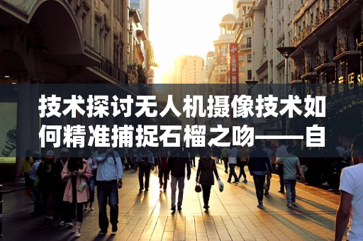 技术探讨无人机摄像技术如何精准捕捉石榴之吻——自然与人工的完美融合？