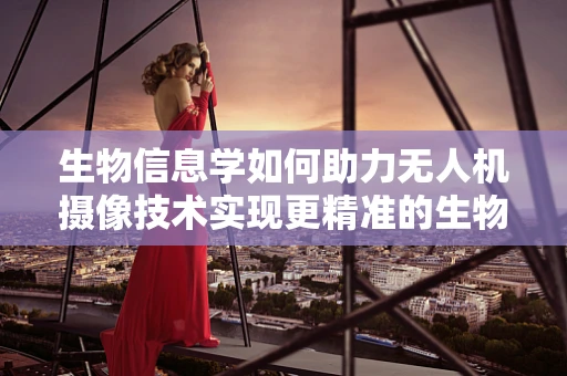 生物信息学如何助力无人机摄像技术实现更精准的生物多样性监测？
