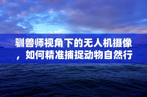 驯兽师视角下的无人机摄像，如何精准捕捉动物自然行为？