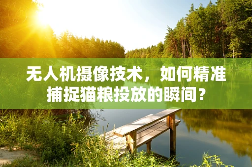 无人机摄像技术，如何精准捕捉猫粮投放的瞬间？