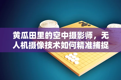 黄瓜田里的空中摄影师，无人机摄像技术如何精准捕捉作物生长细节？