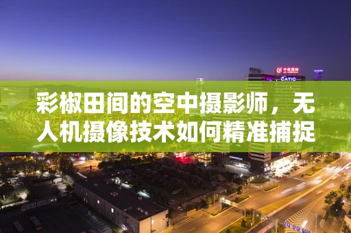 彩椒田间的空中摄影师，无人机摄像技术如何精准捕捉作物生长细节？