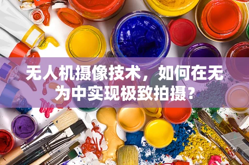 无人机摄像技术，如何在无为中实现极致拍摄？
