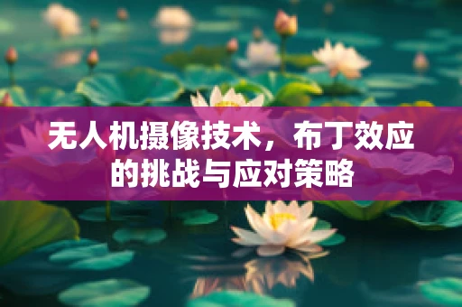 无人机摄像技术，布丁效应的挑战与应对策略