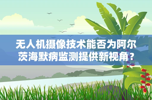 无人机摄像技术能否为阿尔茨海默病监测提供新视角？
