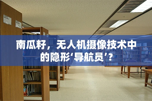 南瓜籽，无人机摄像技术中的隐形‘导航员’？