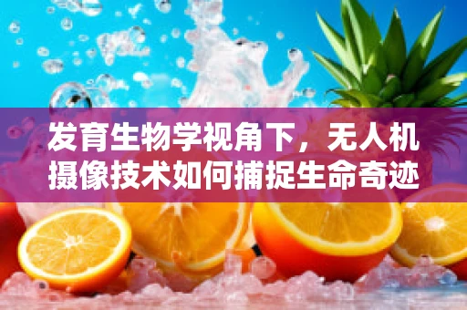 发育生物学视角下，无人机摄像技术如何捕捉生命奇迹？
