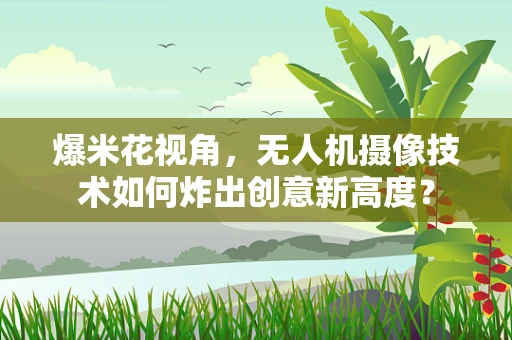 爆米花视角，无人机摄像技术如何炸出创意新高度？