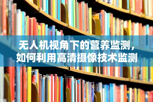 无人机视角下的营养监测，如何利用高清摄像技术监测小儿营养不良？