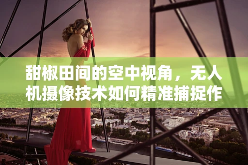 甜椒田间的空中视角，无人机摄像技术如何精准捕捉作物生长细节？