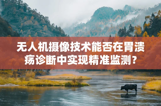 无人机摄像技术能否在胃溃疡诊断中实现精准监测？