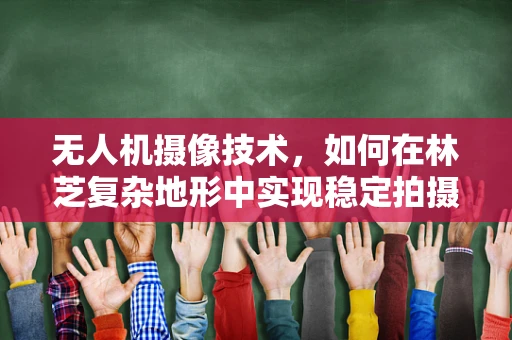 无人机摄像技术，如何在林芝复杂地形中实现稳定拍摄？