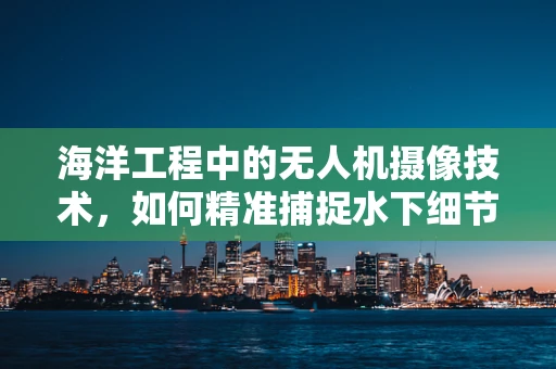 海洋工程中的无人机摄像技术，如何精准捕捉水下细节？