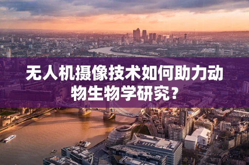 无人机摄像技术如何助力动物生物学研究？