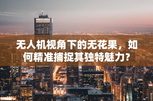 无人机视角下的无花果，如何精准捕捉其独特魅力？