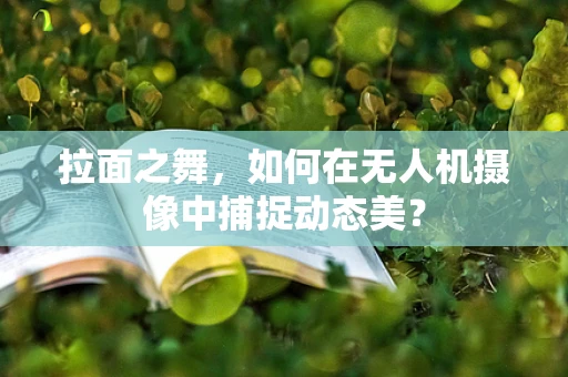 拉面之舞，如何在无人机摄像中捕捉动态美？