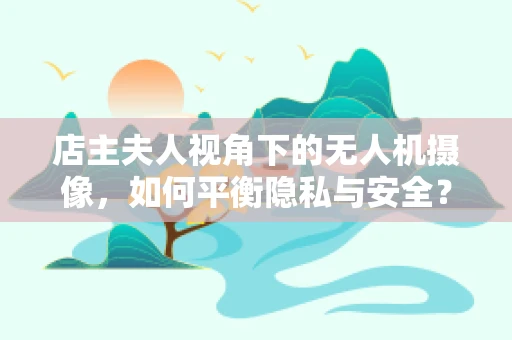 店主夫人视角下的无人机摄像，如何平衡隐私与安全？
