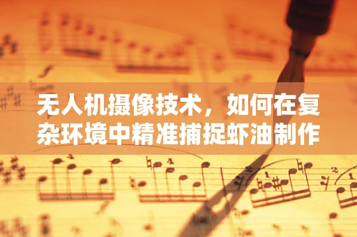 无人机摄像技术，如何在复杂环境中精准捕捉虾油制作过程？