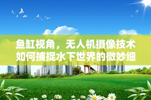 鱼缸视角，无人机摄像技术如何捕捉水下世界的微妙细节？