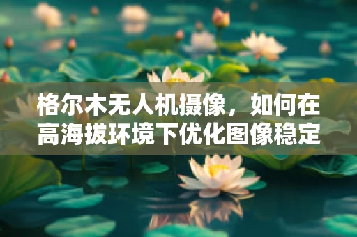 格尔木无人机摄像，如何在高海拔环境下优化图像稳定性？