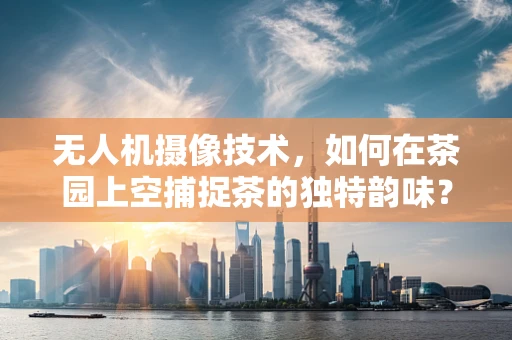 无人机摄像技术，如何在茶园上空捕捉茶的独特韵味？