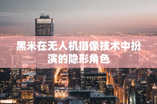 黑米在无人机摄像技术中扮演的隐形角色