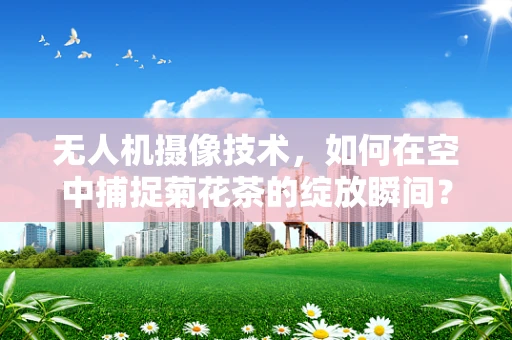 无人机摄像技术，如何在空中捕捉菊花茶的绽放瞬间？