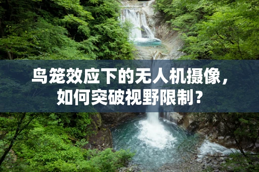 鸟笼效应下的无人机摄像，如何突破视野限制？