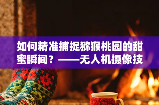如何精准捕捉猕猴桃园的甜蜜瞬间？——无人机摄像技术的挑战与解决方案