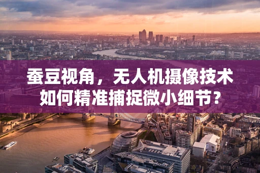 蚕豆视角，无人机摄像技术如何精准捕捉微小细节？