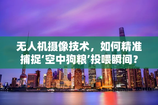 无人机摄像技术，如何精准捕捉‘空中狗粮’投喂瞬间？