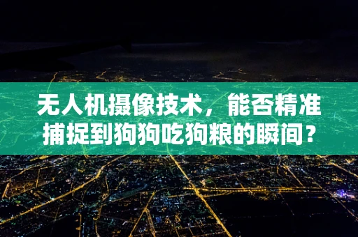无人机摄像技术，能否精准捕捉到狗狗吃狗粮的瞬间？