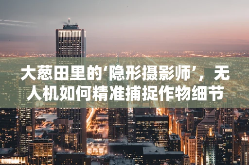 大葱田里的‘隐形摄影师’，无人机如何精准捕捉作物细节？