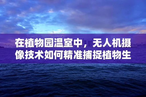 在植物园温室中，无人机摄像技术如何精准捕捉植物生长的微妙变化？