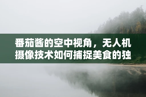 番茄酱的空中视角，无人机摄像技术如何捕捉美食的独特魅力？