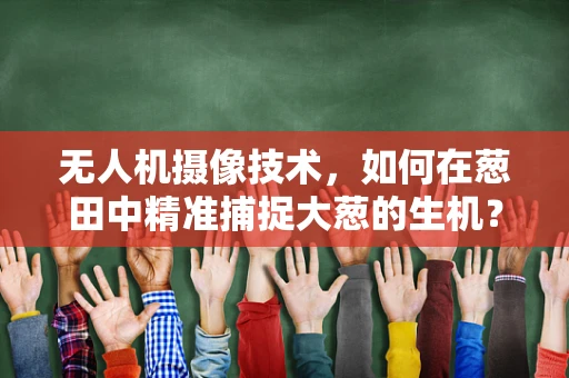 无人机摄像技术，如何在葱田中精准捕捉大葱的生机？