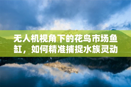 无人机视角下的花鸟市场鱼缸，如何精准捕捉水族灵动瞬间？