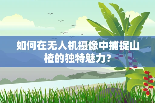 如何在无人机摄像中捕捉山楂的独特魅力？